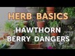 Видео обзор на Боярышник, Hawthorn Berry Heart Syrup, 472 мл