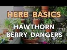 Christopher's Original Formulas, Hawthorn Berry Heart Syrup