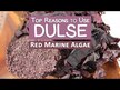 Видео обзор на Vitamin Sea, Водоросли Дульсе, Dulse Flakes, 114 г