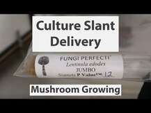 Host Defense Mushrooms, Myco Botanicals Greens
