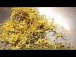 Відео огляд на Nature's Answer, Goldenseal Root, Жовтокорінь, 30 мл