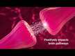 Відео огляд на Life Extension, Calm-Mag, Магній, 30 капсул