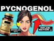 Видео обзор на NutraChamps, Пикногенол, Pycnogenol 100 mg, 60 капсул