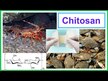 Видео обзор на Nutricology, Микрохитозан, MicroChitosan, 60 капсул