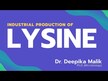 Відео огляд на Carlson, L-Lysine Powder, L-Лізин, 100 г
