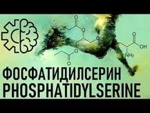 Source Naturals, Phosphatidyl Serine Matrix 500 mg