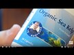 Видео обзор на Natures Life, Исландские водоросли, Icelandic Kelp, 500 таблеток