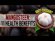 Видео обзор на Solaray, Экстракт Мангостина 500 мг, Mangosteen 500 mg, 60 капсул
