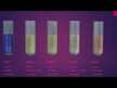 Видео обзор на Enzymedica, Поддержание уровня pH, Enzyme pH-Basic, 120 капсул