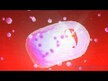 Видео обзор на NOW, Бета-1.3/1.6-D-Глюкан, Beta-1,3/1,6-D-Glucan, 90 капсул