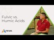 Видео обзор на Фульвовые и Гуминовые кислоты, 77 Trace Minerals, 50 мл