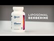 Видео обзор на Никотинамид НАД+, Liposomal NAD+ Complete Nasal Spray, 30 мл