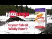 Відео огляд на Wholemega Fish Oil 1000 mg, Олія дикого лосося, 120 капсул