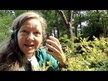Видео обзор на Eclectic Herb, Коллинсония, Collinsonia Stone Root, 60 мл