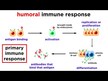 Видео обзор на Immune Defense Vitamin C + Elderberry, Добавка для иммунитета, 30