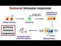 Immune Defense Vitamin C + Elderberry, Добавка для иммунитета,...