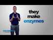 Відео огляд на Enzymedica, Enzyme Defense, Ферменти, 120 капсул