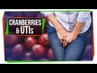 Видео обзор на Клюква с пробиотиками, Cranberry Plus Probiotic, 60 таблеток