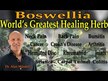 Видео обзор на Pure Encapsulations, Босвеллия, Boswellia, 60 капсул