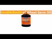 Видео обзор на NOW, Масло из зародышей пшеницы, Wheat Germ Oil, 473 мл