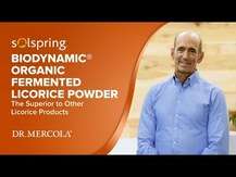 Solspring Biodynamic Organic Fermented Ginger Powder