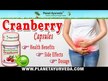 Видео обзор на Life Extension, Клюква 500 мг, Cran-Max Cranberry, 60 капсул
