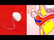 Видео обзор на Nature's Way, Чеснок без запаха, Garlicin Cardio, 180 таблет
