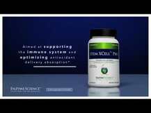 Enzymedica, Stem XCell, Клітинне здоров'я, 60 капсул