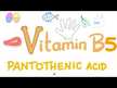 Видео обзор на Pantothenic Acid Vitamin, Витамин B5 Пантотеновая кислота, 100 ка