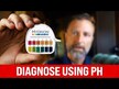 Видео обзор на Enzymedica, Тест уровня рН, pH-Strips, 16 штук