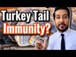 Видео обзор на Хвост Индейки, Turkey Tail Immune Defense Power, 200 г
