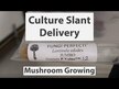 Видео обзор на Host Defense Mushrooms, Кордицепс и Рейши, Cordychii, 120 капсул