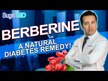 Видео обзор на Glucose Management with Berberine, Поддержка уровня сахара, 90 ка