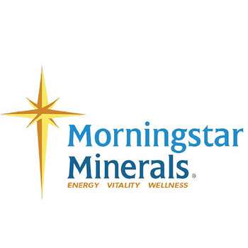 Morningstar Minerals, Морнінгстар Мінерасл