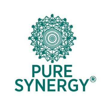 Pure Synergy, Пьюр Сінерджи