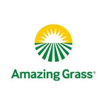 Огляд на Amazing Grass, Organic Wheat Grass, Пророщена пшениця, 240 г