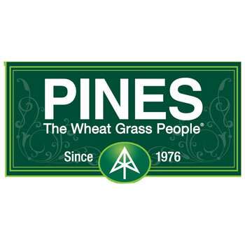 Огляд на Pines International, Wheat Grass, Вітграс 500 мг, 250 таблеток
