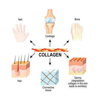 Photo Collagen
