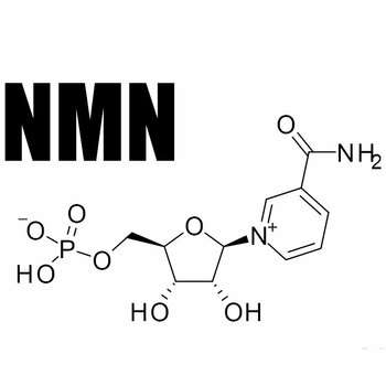 Никотинамид мононуклеотид, NMN